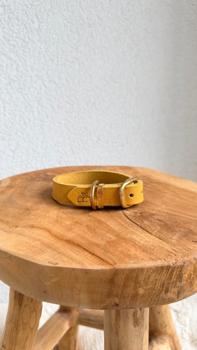 Halsband Fettleder 20mm PASTELLGELB HU 25 - RudisRudel