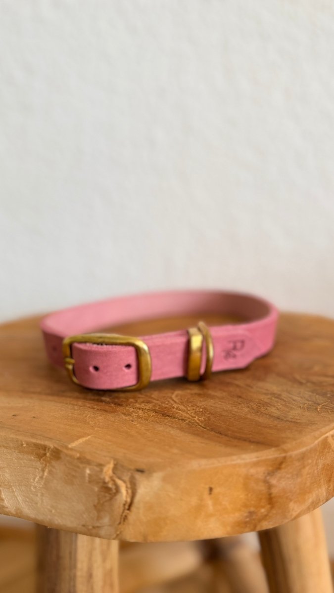 Halsband Fettleder 20mm ROSA HU 45 - RudisRudel