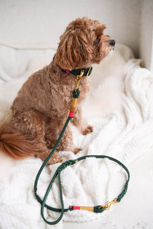 Handschlaufe/Kurzführer aus Fettleder | CHRISTMAS EDITION GREEN - RudisRudel