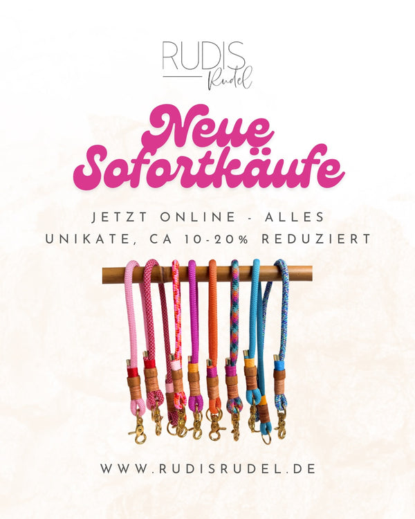 ☀️SHOP CLOSING SOON☀️

Unsere Sommerpause steht vor der Tür, weil es bald für...