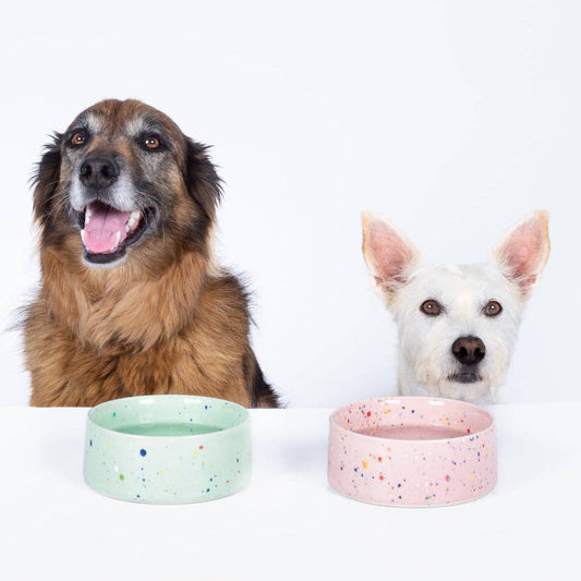 KONFETTI | Dog Bowl Set, 2 Stück, mint - RudisRudel