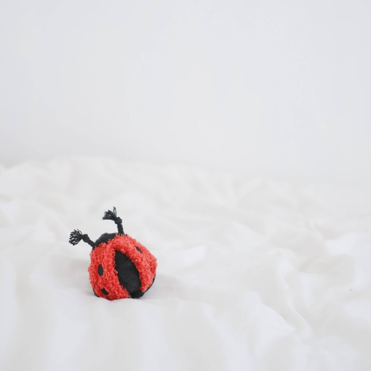 LADYBUG POP | Hundespielzeug - RudisRudel