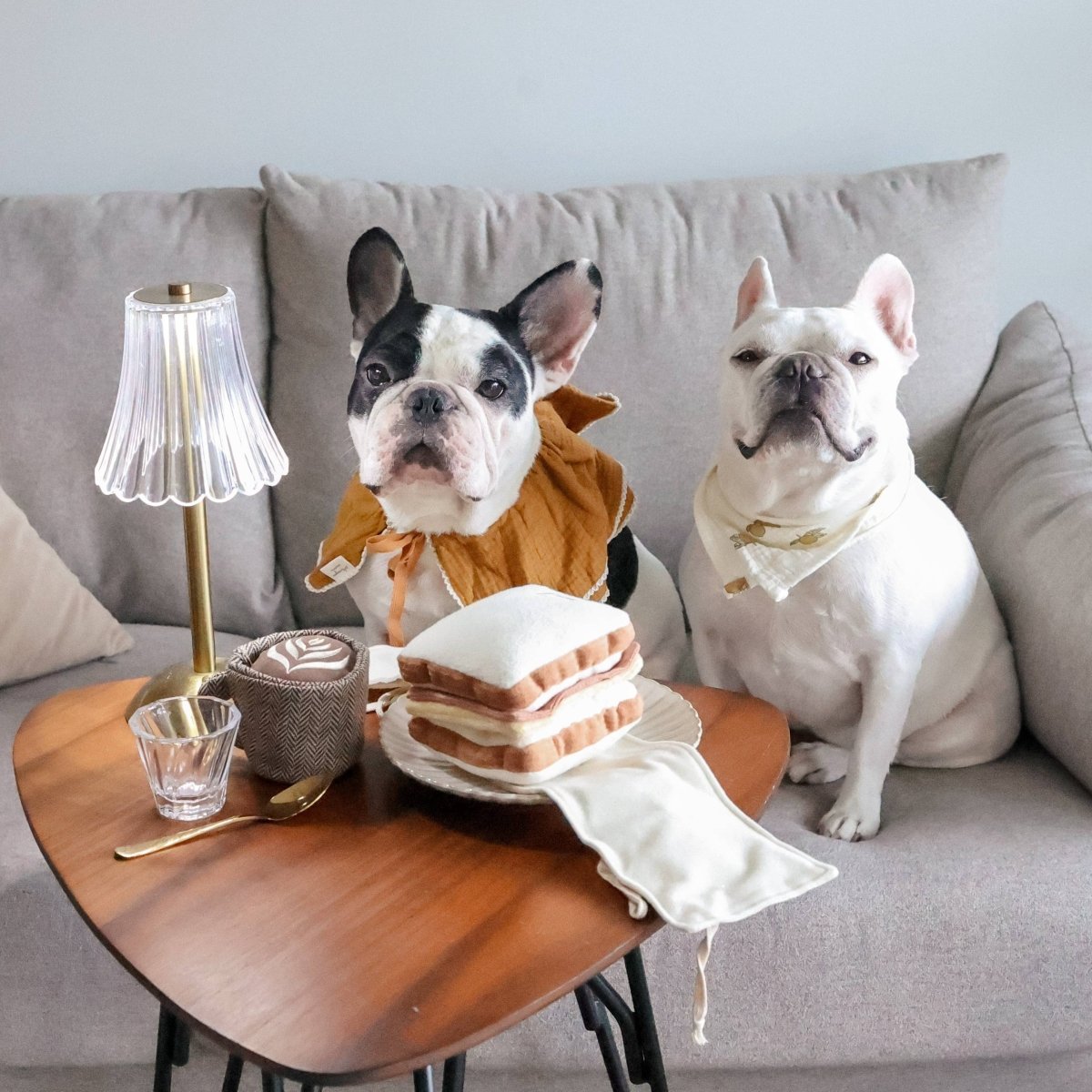 LATTE POP | Schnüffelspielzeug - RudisRudel