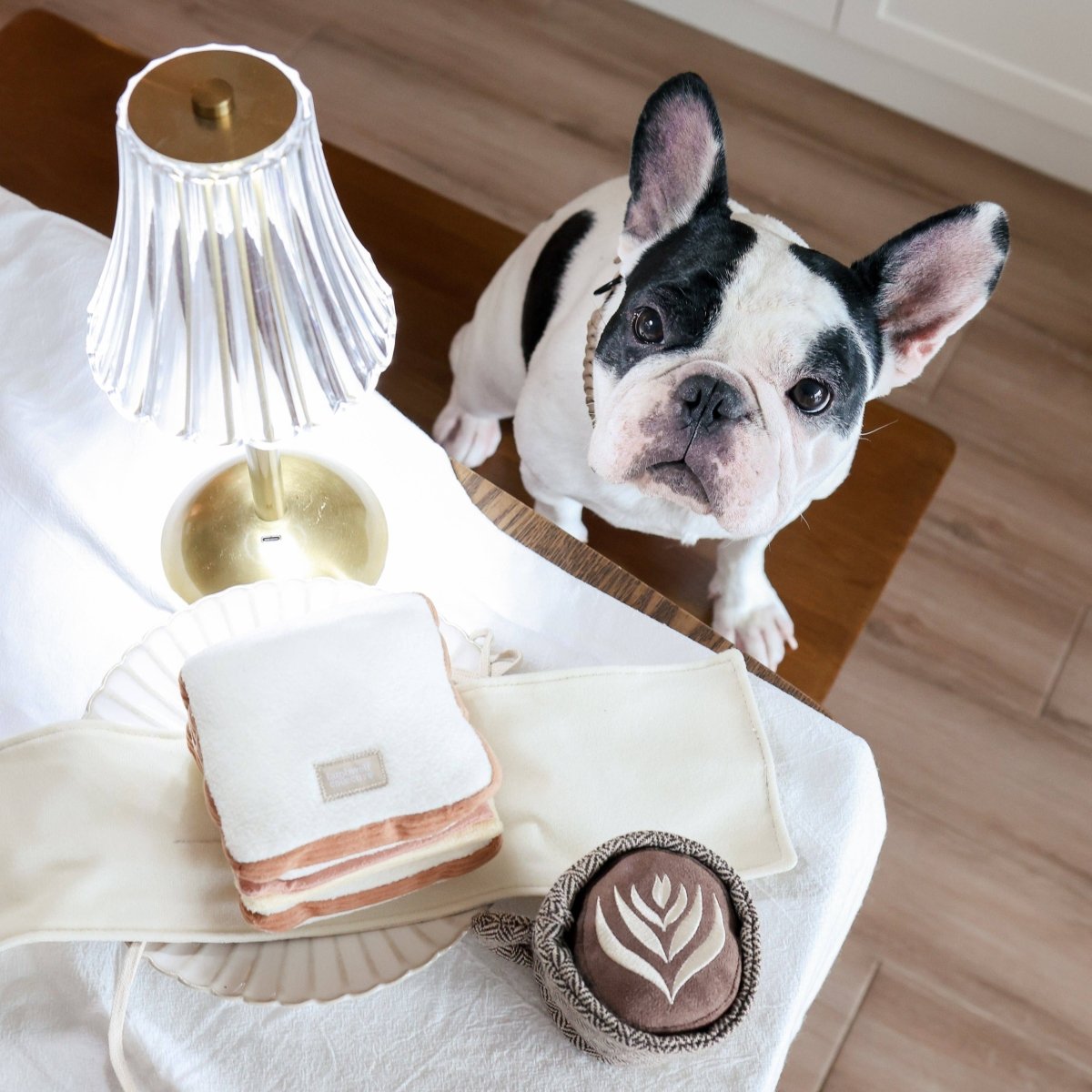 LATTE POP | Schnüffelspielzeug - RudisRudel