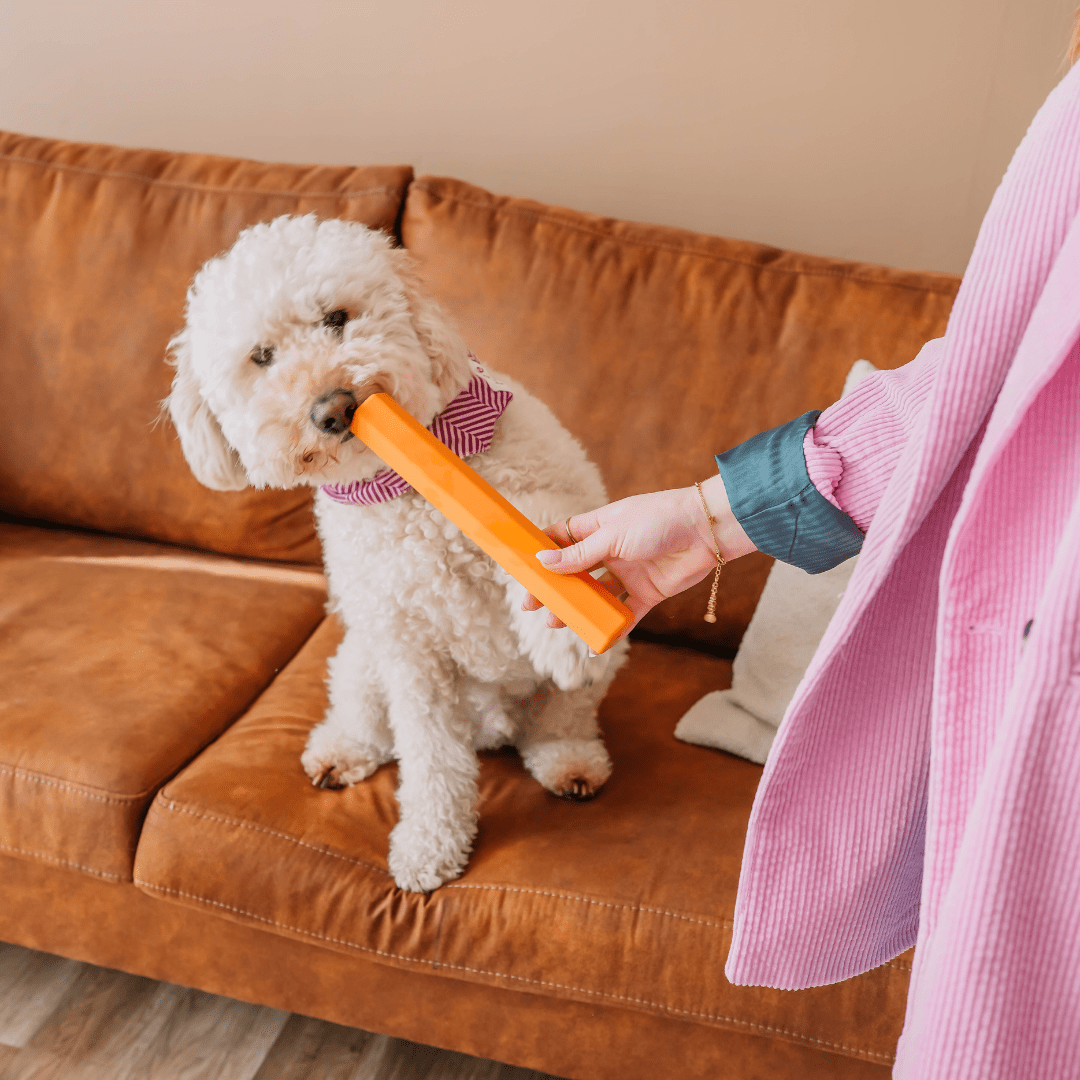 Leckerli - Stick | Beschäftigungsspielzeug - RudisRudel