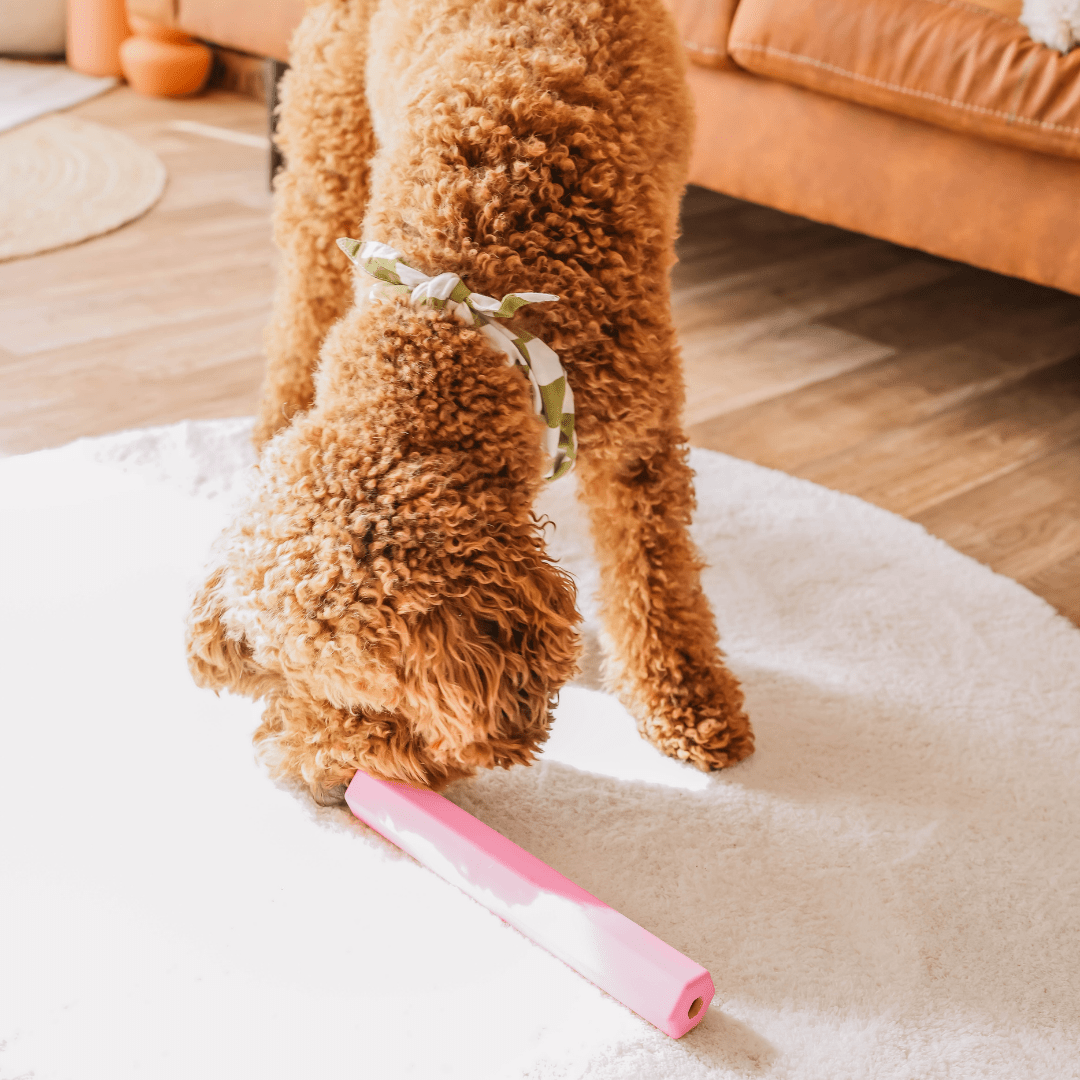 Leckerli - Stick | Beschäftigungsspielzeug - RudisRudel