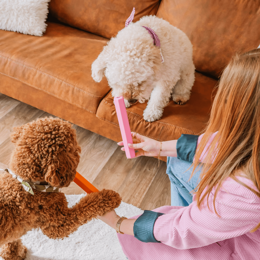 Leckerli - Stick | Beschäftigungsspielzeug - RudisRudel