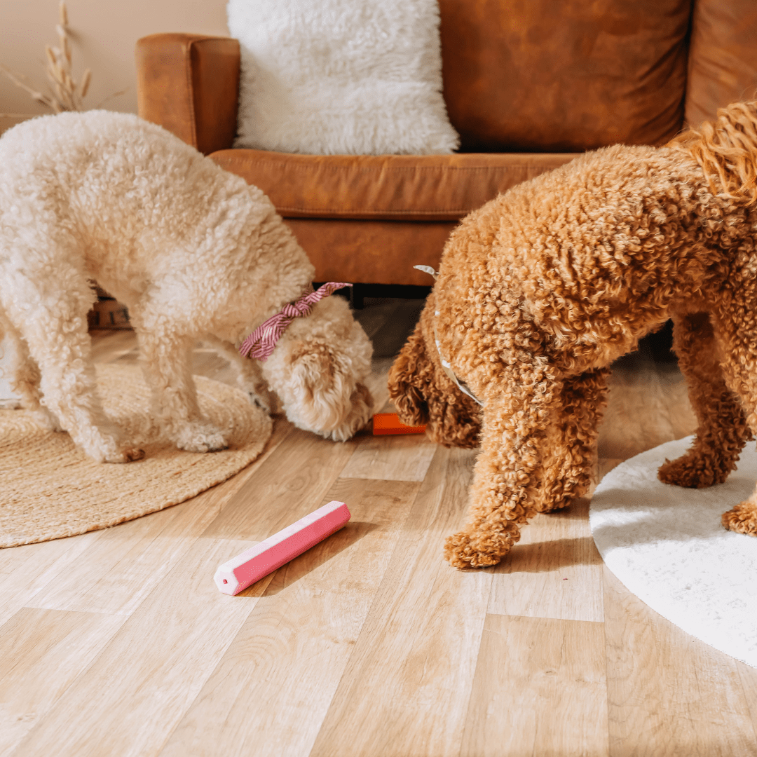 Leckerli - Stick | Beschäftigungsspielzeug - RudisRudel