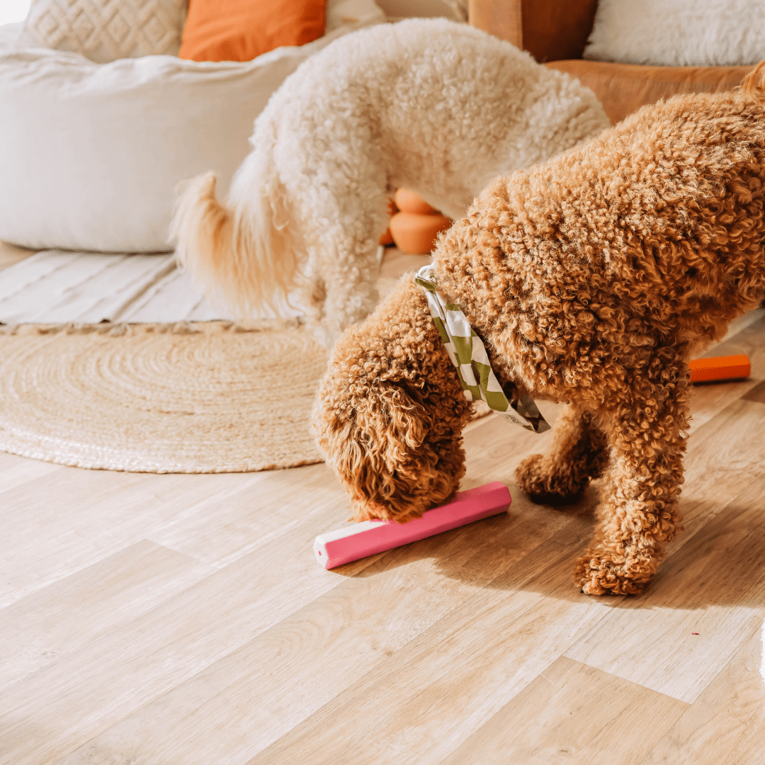 Leckerli - Stick | Beschäftigungsspielzeug - RudisRudel