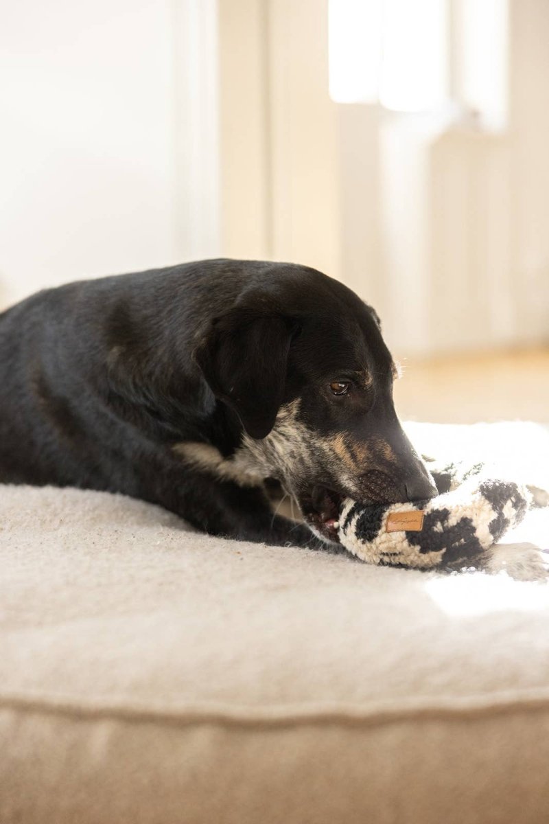 LEO DONUT | handgefertigtes Hundespielzeug - RudisRudel