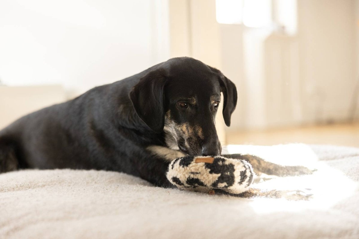 LEO DONUT | handgefertigtes Hundespielzeug - RudisRudel