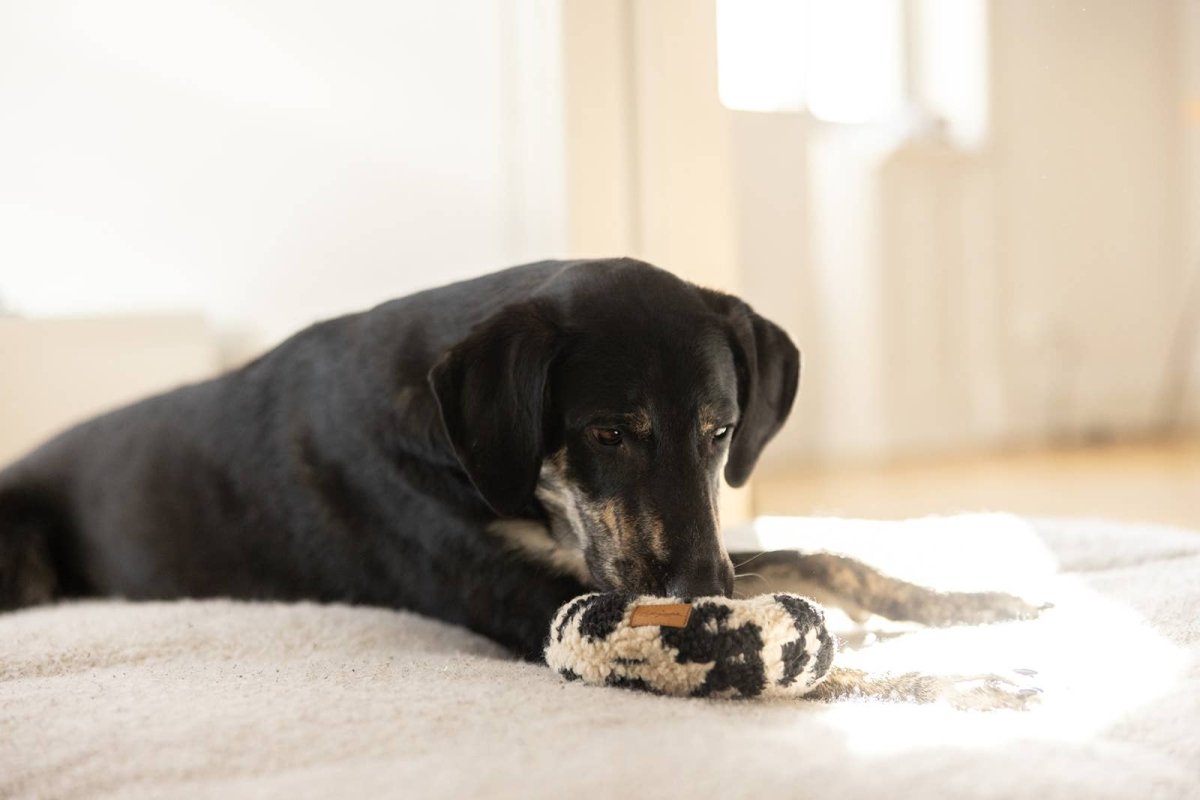 LEO DONUT | handgefertigtes Hundespielzeug - RudisRudel