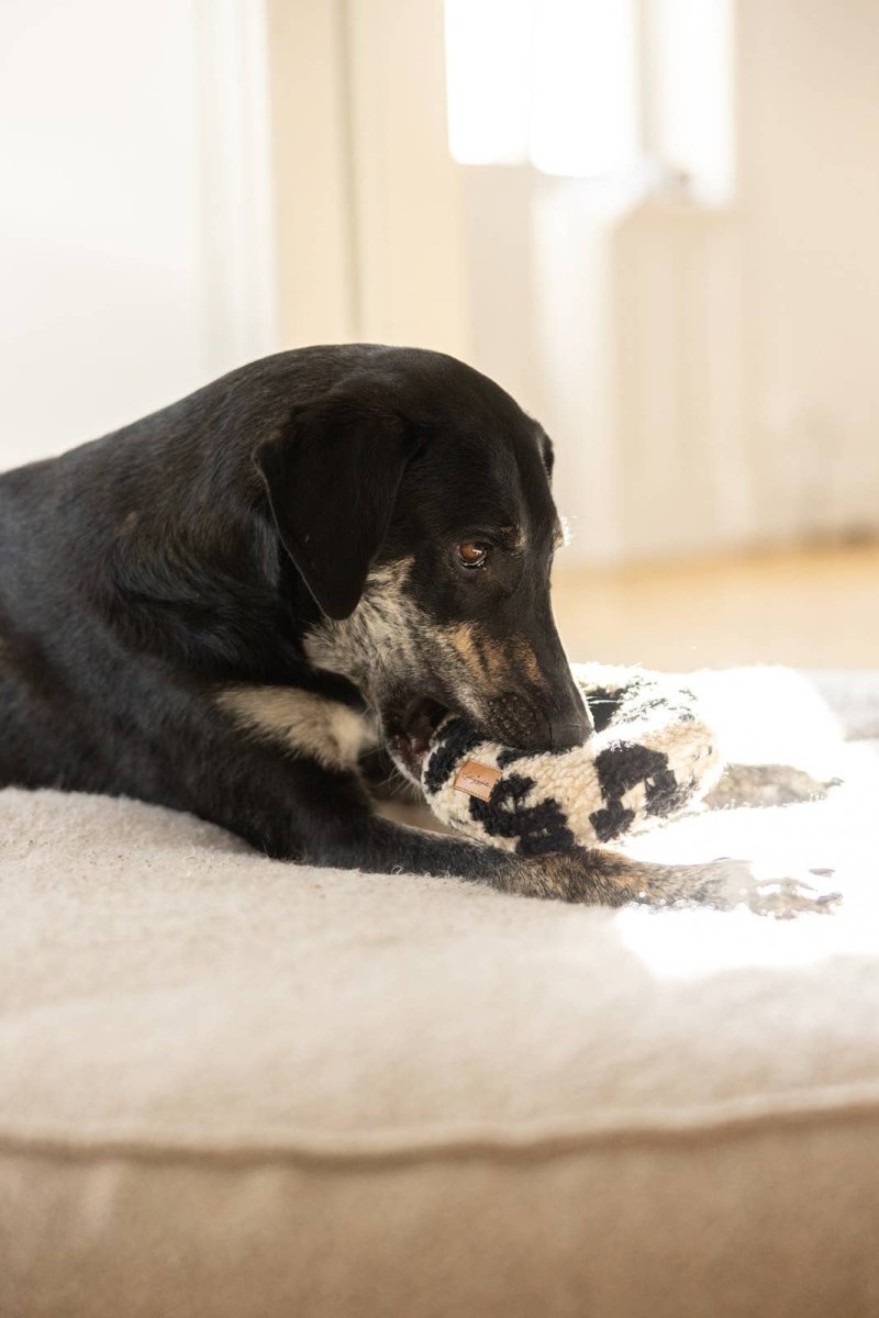 LEO DONUT | handgefertigtes Hundespielzeug - RudisRudel