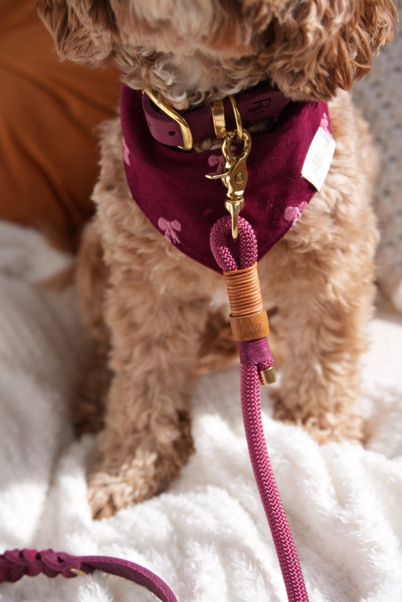 LITTLE BOWS | Halstuch - RudisRudel