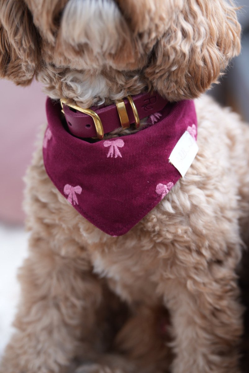 LITTLE BOWS | Halstuch - RudisRudel