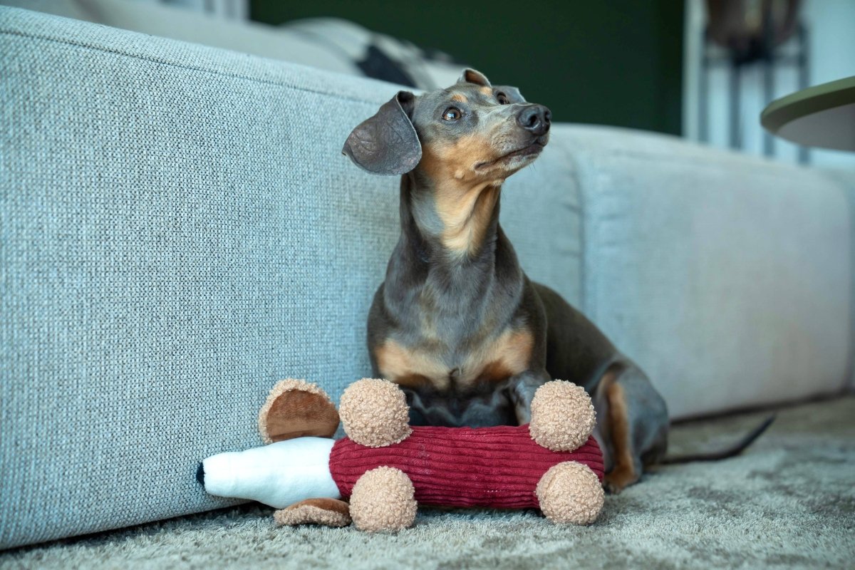 MICKY | Hundespielzeug, merlot - RudisRudel