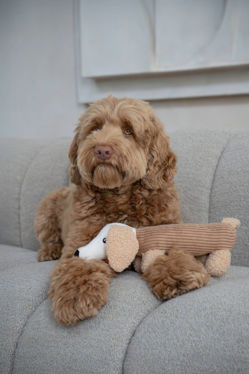 MICKY | Hundespielzeug, mocha - RudisRudel