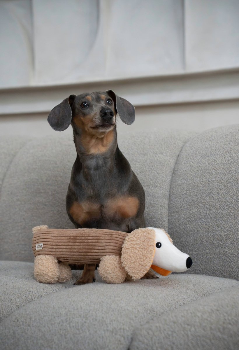 MICKY | Hundespielzeug, mocha - RudisRudel