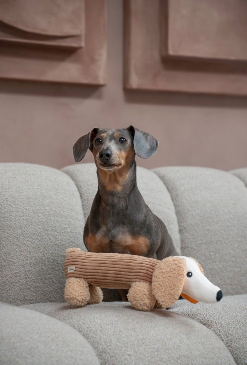 MICKY | Hundespielzeug, mocha - RudisRudel