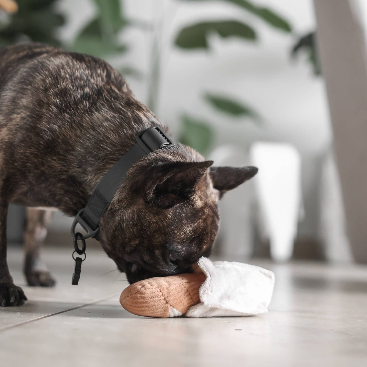 MINI - BAGUETTE | Schnüffelspielzeug - RudisRudel