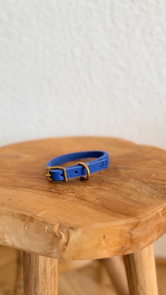 Mini - Halsband Fettleder 10mm ELECTRIC BLAU HU 22 - RudisRudel