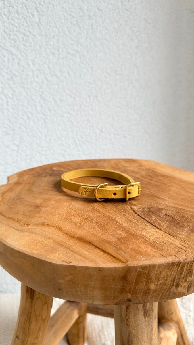 Mini - Halsband Fettleder 10mm PASTELLGELB HU 26 - RudisRudel