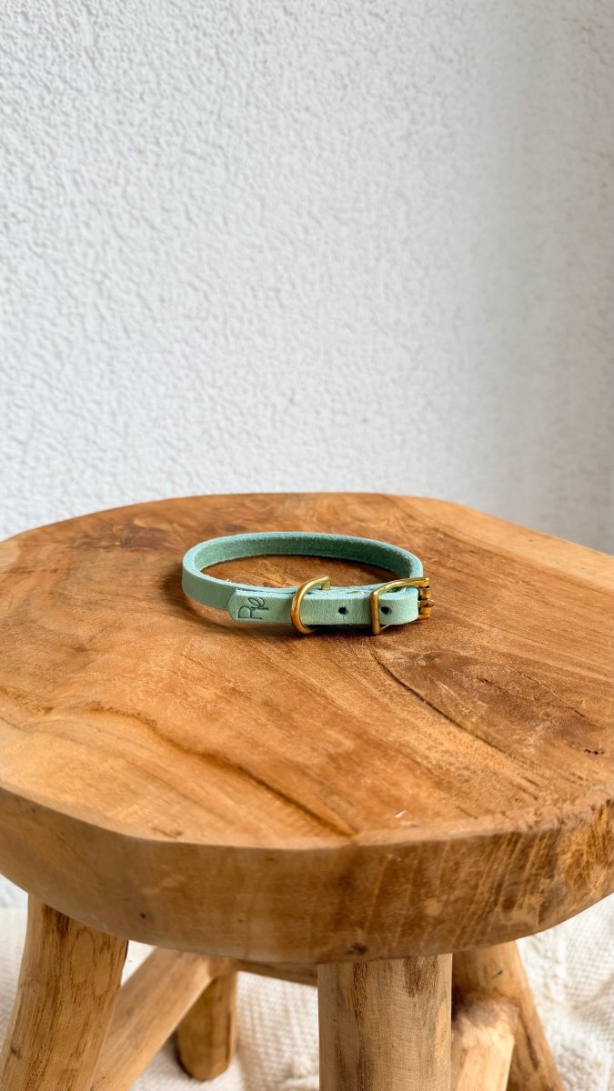 Mini - Halsband Fettleder 10mm PASTELLGRÜN HU 23 - RudisRudel