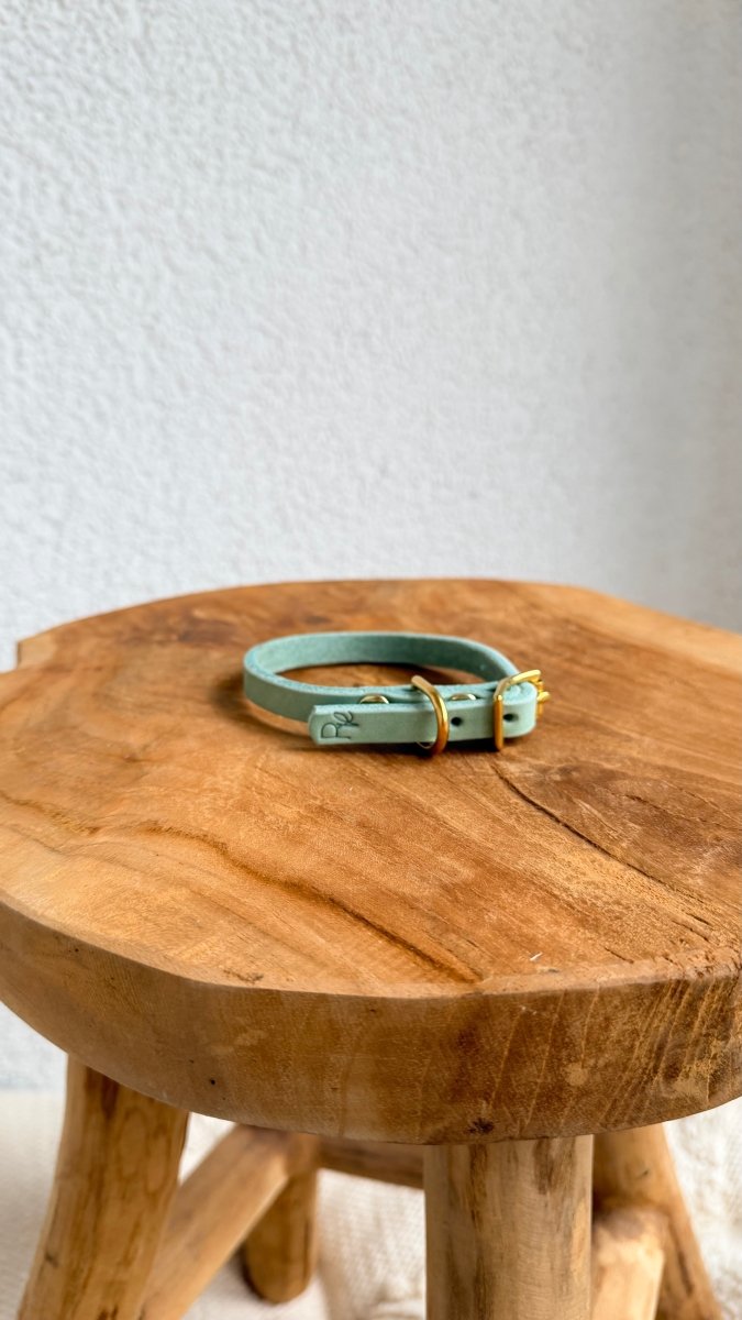 Mini - Halsband Fettleder 10mm PASTELLGRÜN HU 27 - RudisRudel