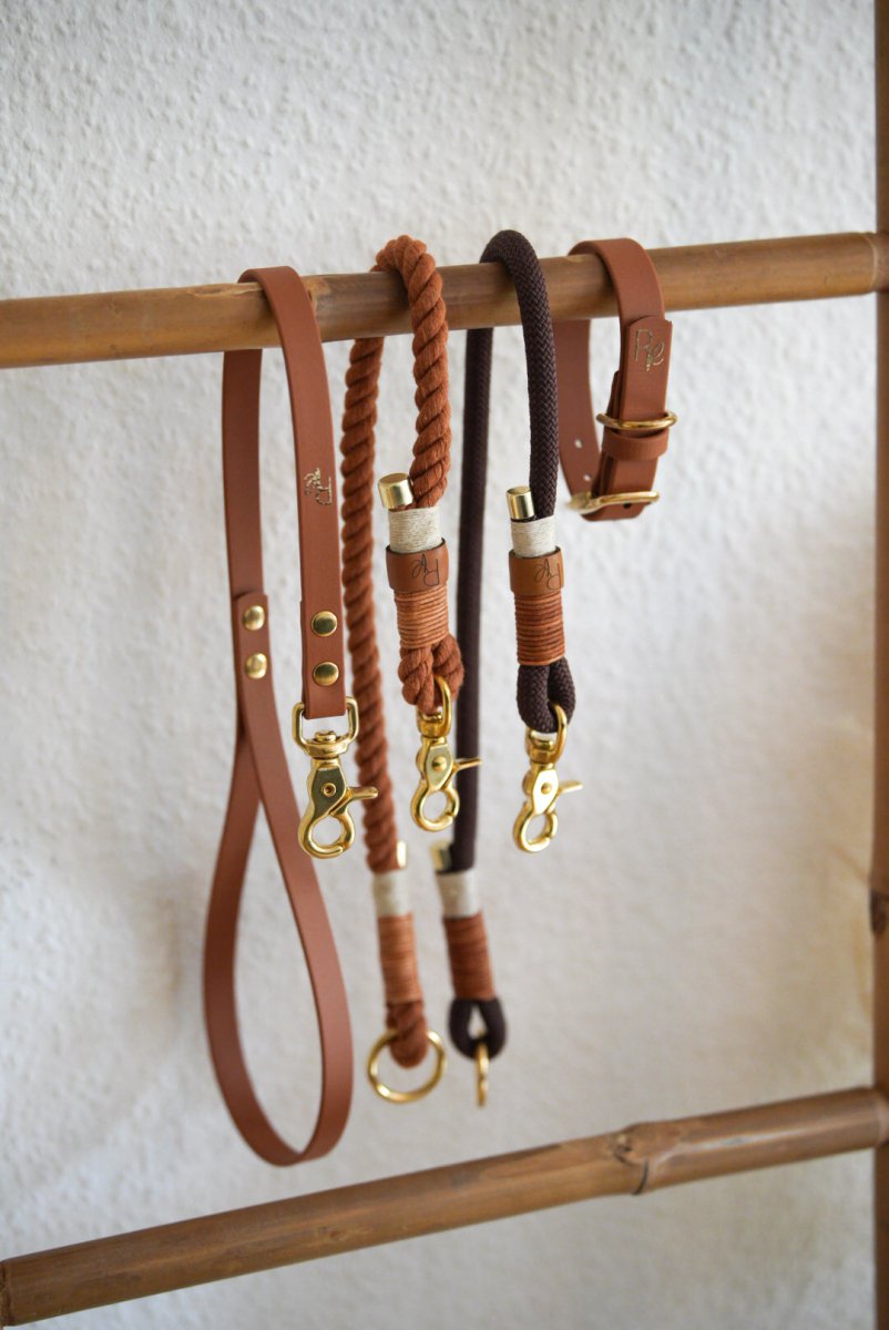 Mix & Match Bundle | 3 - teilige Leine + Biothanehalsband | BOHO CHIC - RudisRudel
