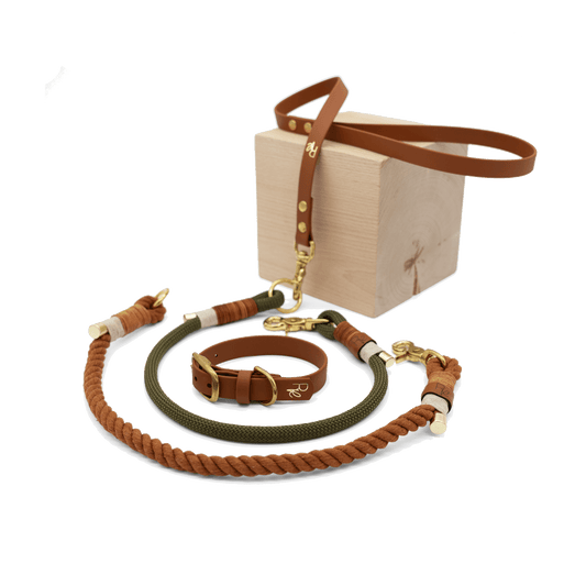 Mix & Match Bundle | 3 - teilige Leine + Biothanehalsband | BOHO CHIC - RudisRudel
