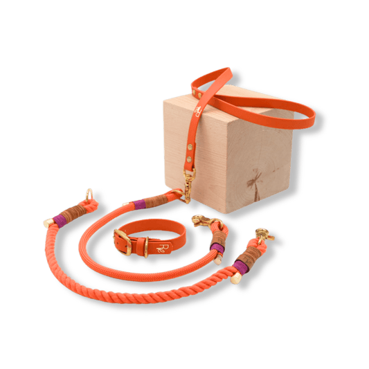 Mix & Match Bundle | 3-teilige Leine + Biothanehalsband | COLOUR CLASH - RudisRudel