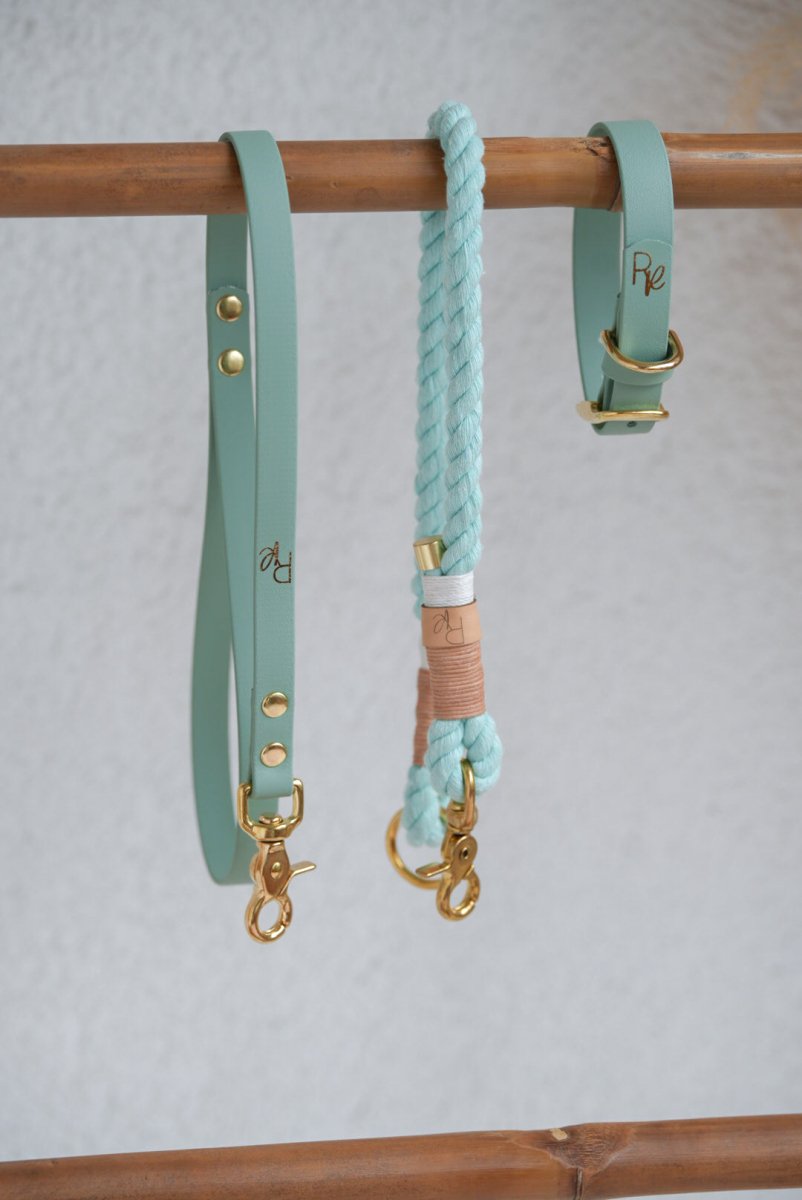 Mix & Match Bundle | 3 - teilige Leine + Biothanehalsband | PASTEL DREAMS - RudisRudel