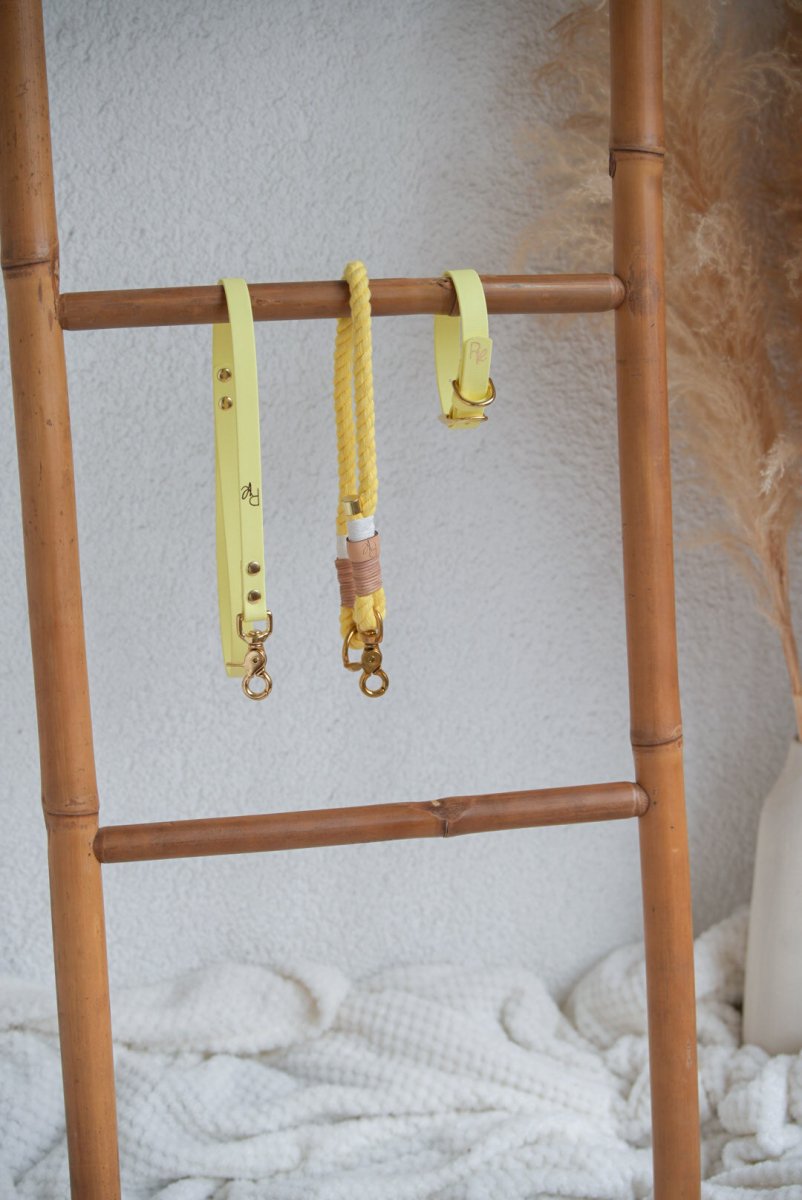 Mix & Match Bundle | 3 - teilige Leine + Biothanehalsband | PASTEL DREAMS - RudisRudel