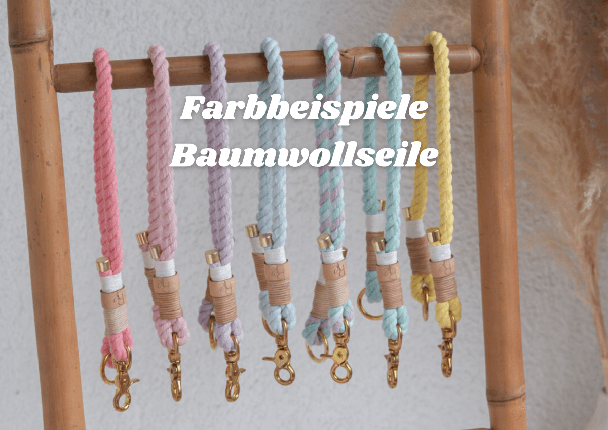 Mix & Match Bundle | 3 - teilige Leine + Biothanehalsband | PASTEL DREAMS - RudisRudel