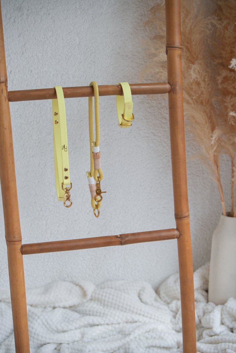 Mix & Match Bundle | 3 - teilige Leine + Biothanehalsband | PASTEL DREAMS - RudisRudel