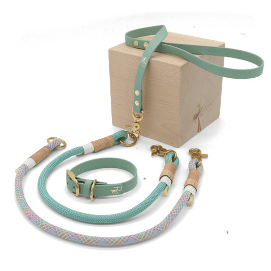 Mix & Match Bundle | 3 - teilige Leine + Biothanehalsband | PASTEL DREAMS - RudisRudel