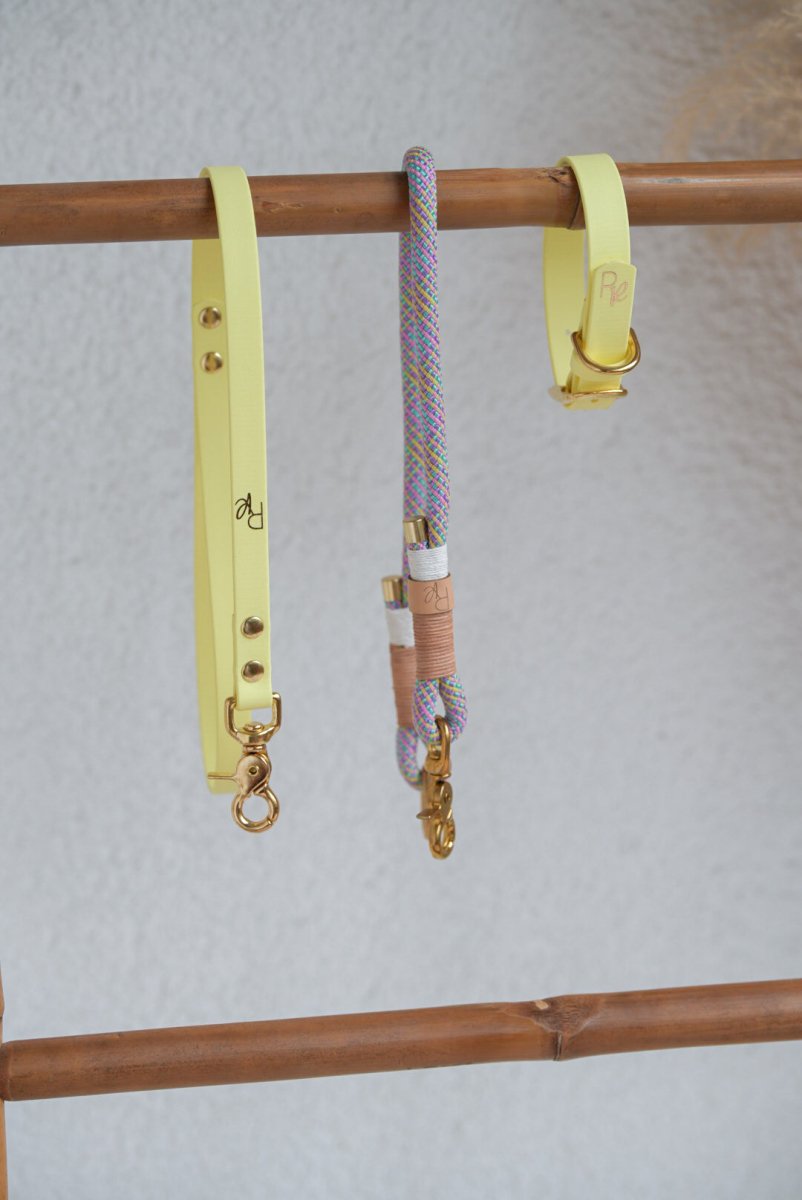 Mix & Match Bundle | 3 - teilige Leine + Biothanehalsband | PASTEL DREAMS - RudisRudel