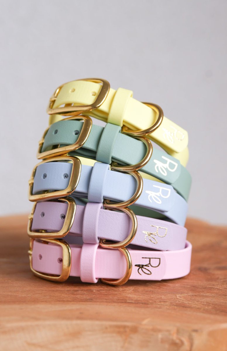 Mix & Match Bundle | 3 - teilige Leine + Biothanehalsband | PASTEL DREAMS - RudisRudel