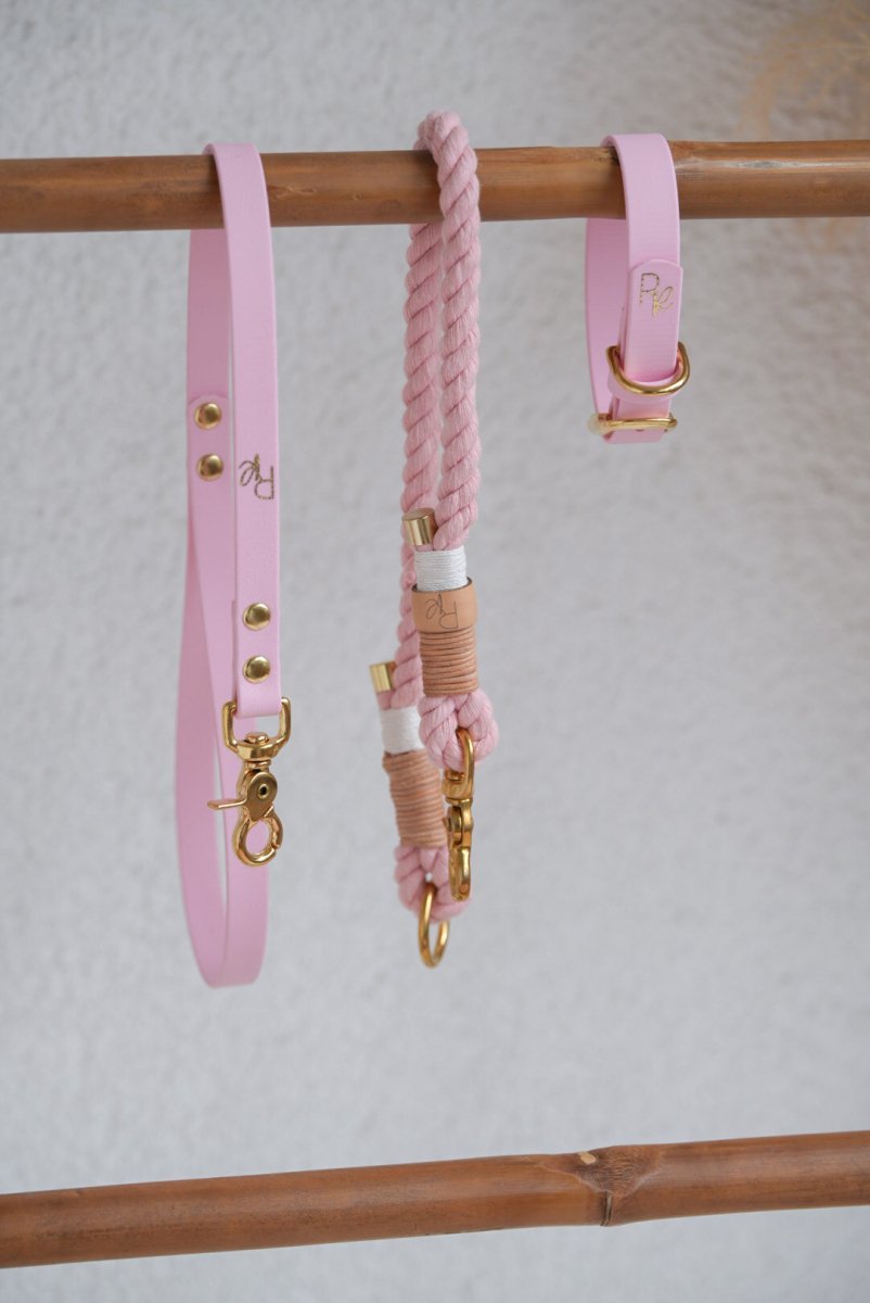 Mix & Match Bundle | 3 - teilige Leine + Biothanehalsband | PASTEL DREAMS - RudisRudel