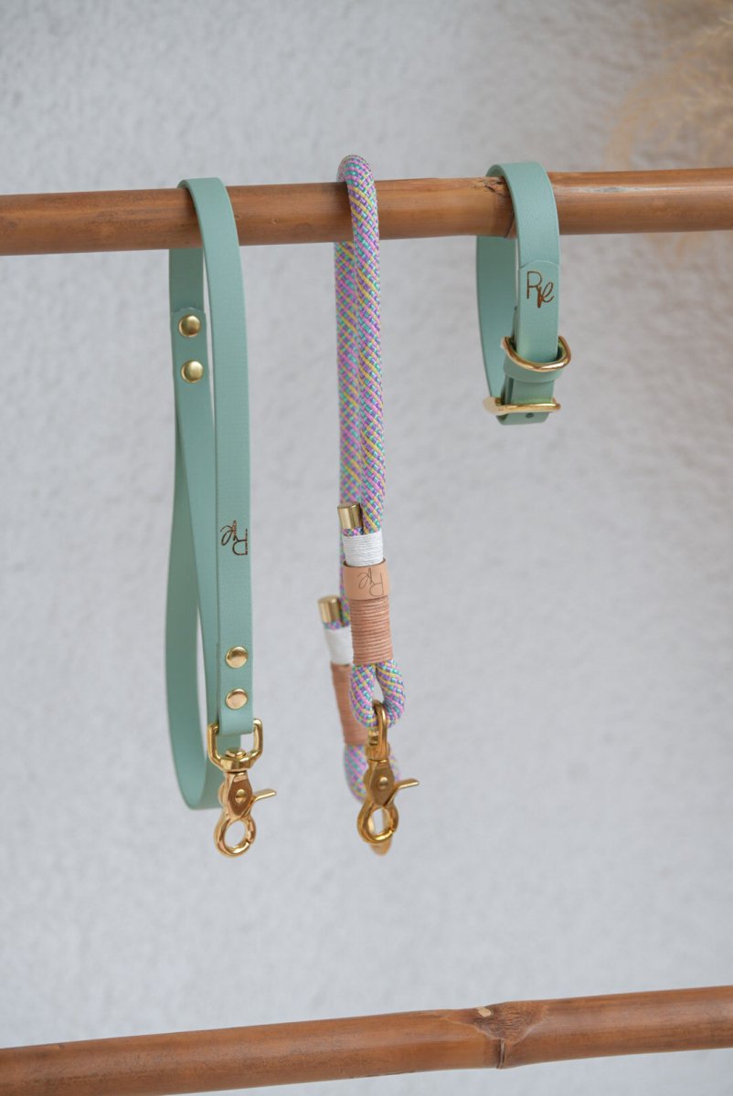 Mix & Match Bundle | 3 - teilige Leine + Biothanehalsband | PASTEL DREAMS - RudisRudel