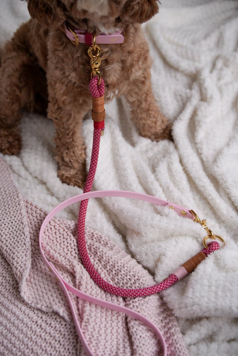 Mix & Match Leinen-Set | Handschlaufe + Halsband Biothane & Unterteil Tauseil | COLOUR CLASH - RudisRudel