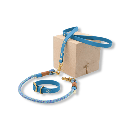 Mix & Match Leinen-Set | Handschlaufe + Halsband Biothane & Unterteil Tauseil | COLOUR CLASH - RudisRudel