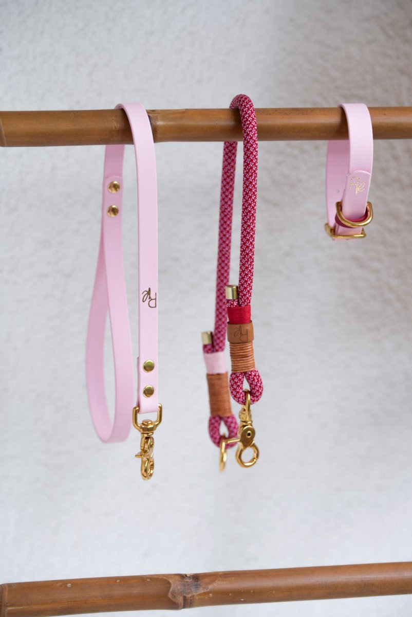 Mix & Match Leinen-Set | Handschlaufe + Halsband Biothane & Unterteil Tauseil | COLOUR CLASH - RudisRudel