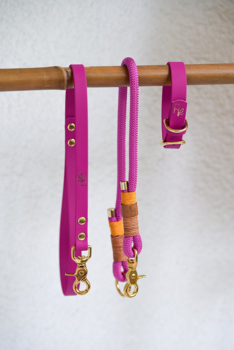 Mix & Match Leinen-Set | Handschlaufe + Halsband Biothane & Unterteil Tauseil | COLOUR CLASH - RudisRudel