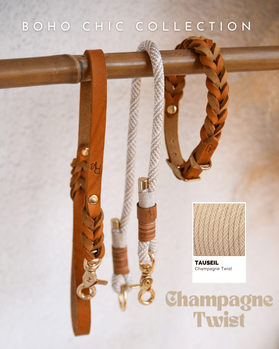 Mix & Match Leinen-Set | Handschlaufe + Halsband Fettleder & Unterteil Tauseil | BOHO CHIC - RudisRudel
