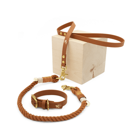 Mix & Match Set | Handschlaufe + Halsband Biothane & Unterteil Baumwollseil | BOHO CHIC - RudisRudel