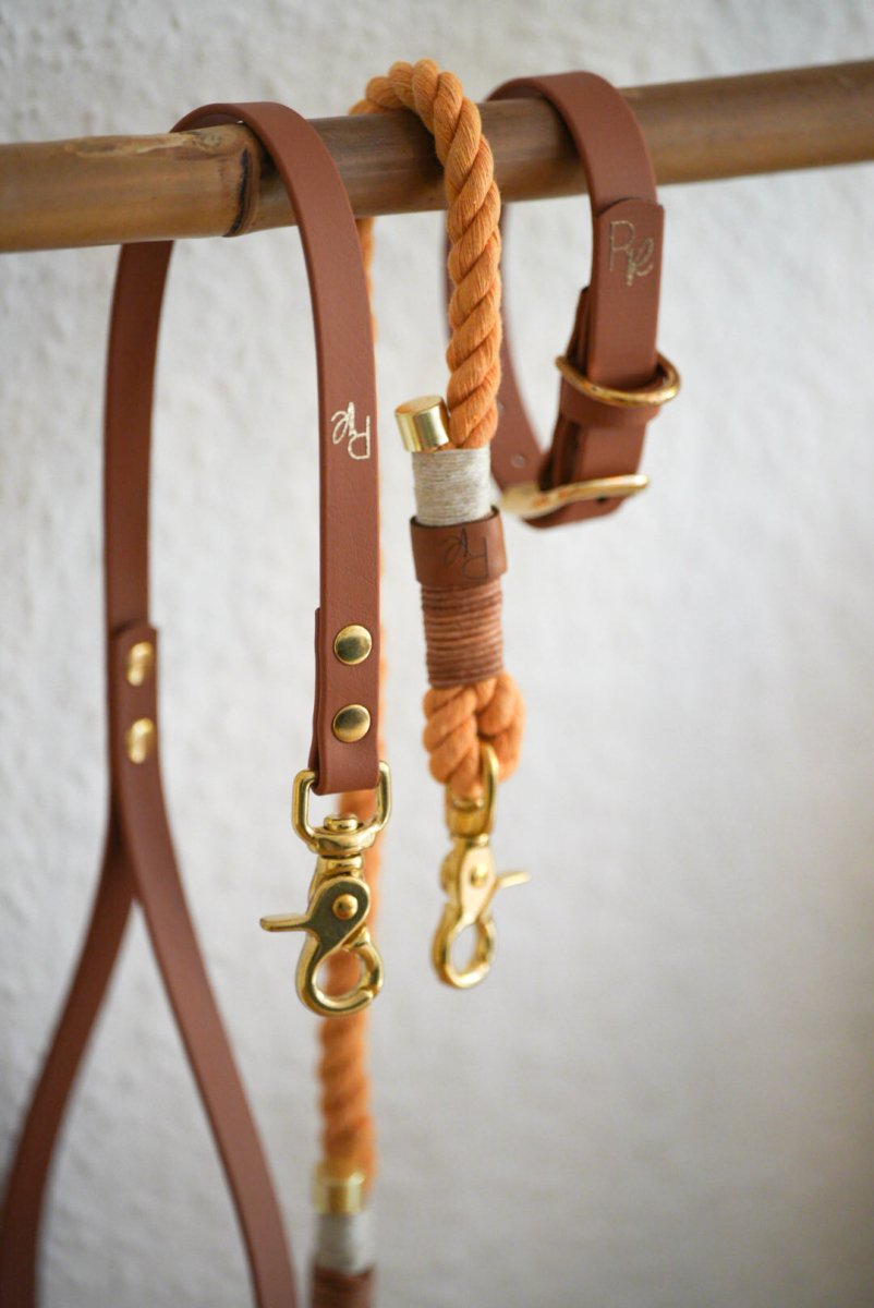 Mix & Match Set | Handschlaufe + Halsband Biothane & Unterteil Baumwollseil | BOHO CHIC - RudisRudel