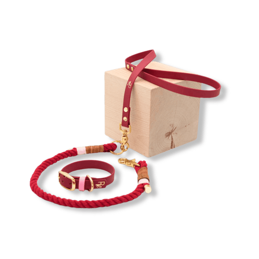 Mix & Match Set | Handschlaufe + Halsband Biothane & Unterteil Baumwollseil | COLOUR CLASH - RudisRudel