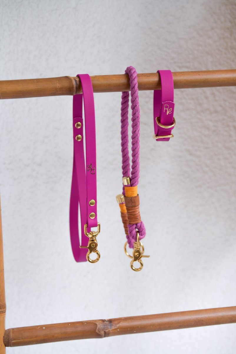 Mix & Match Set | Handschlaufe + Halsband Biothane & Unterteil Baumwollseil | COLOUR CLASH - RudisRudel