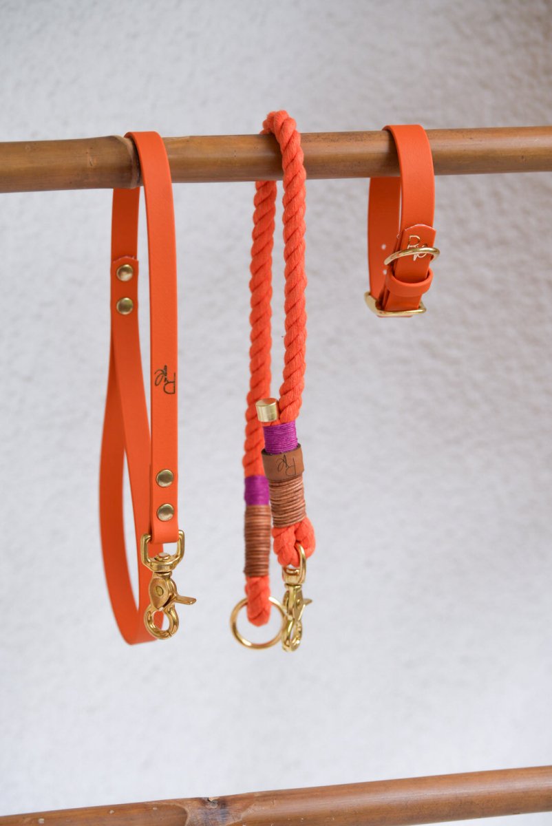 Mix & Match Set | Handschlaufe + Halsband Biothane & Unterteil Baumwollseil | COLOUR CLASH - RudisRudel
